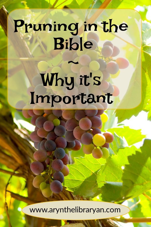 Pruning in the Bible 1 Important but Challenging Topic