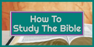 How to Study the Bible: Open Bible on wood background